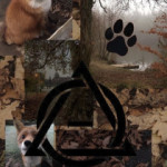 Group logo of German Fox therians